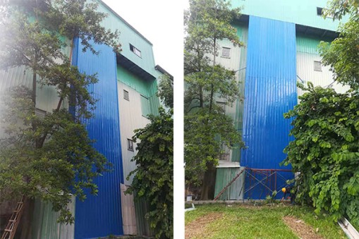 东莞市勤健实业有限公司直顶式升降机安装验收合格